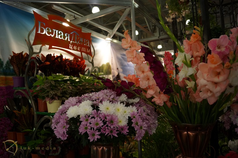 flowers expo 2014 