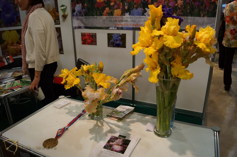 flowers expo 2014 