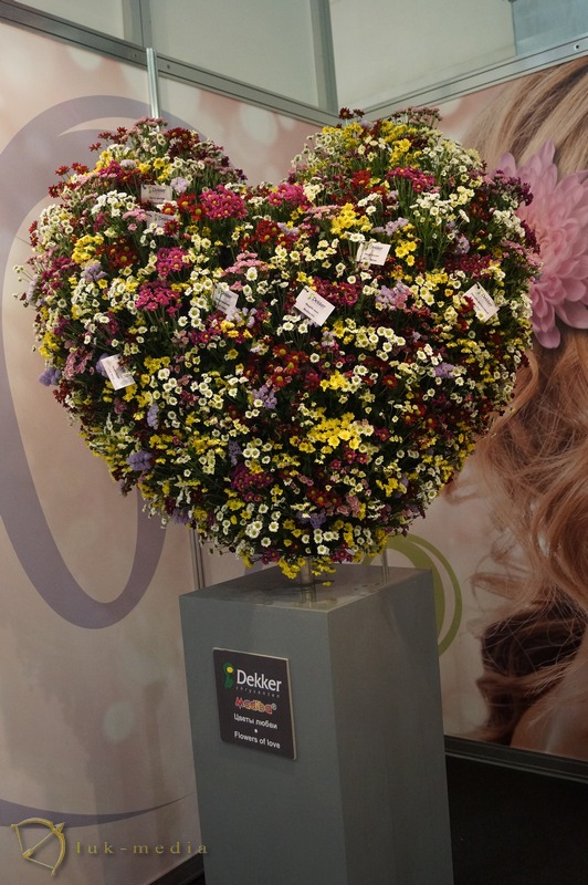   flowers expo 2018