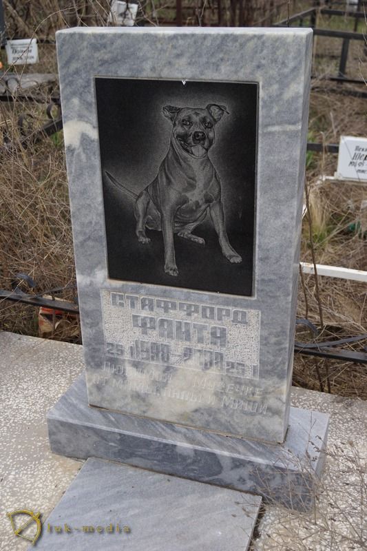 кладбище домашних животных в ростове на дону