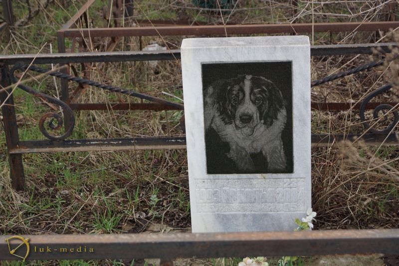 кладбище домашних животных в ростове на дону