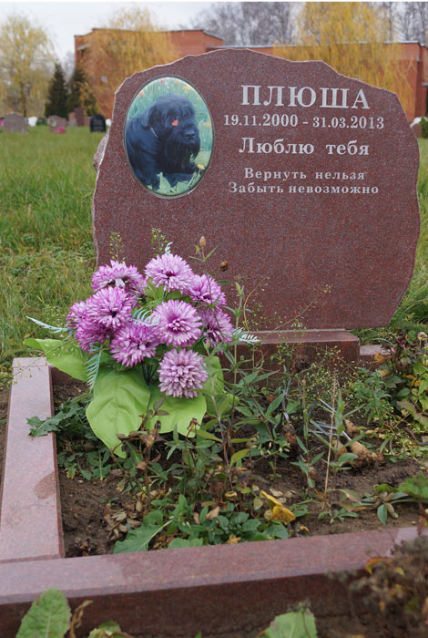 кладбище домашних животных в москве