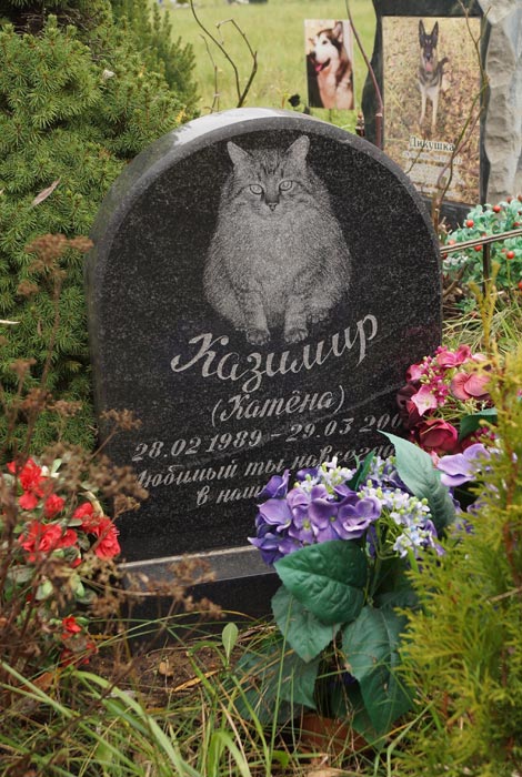 кладбище домашних животных в москве