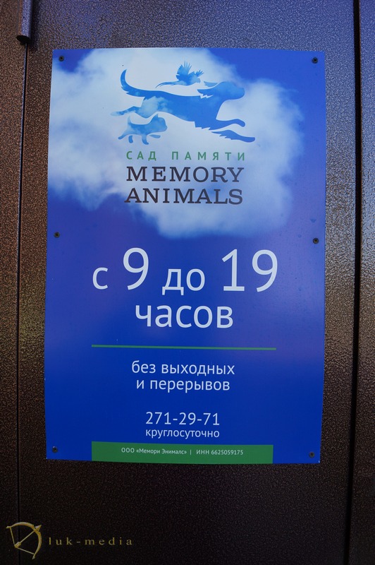     memory animals