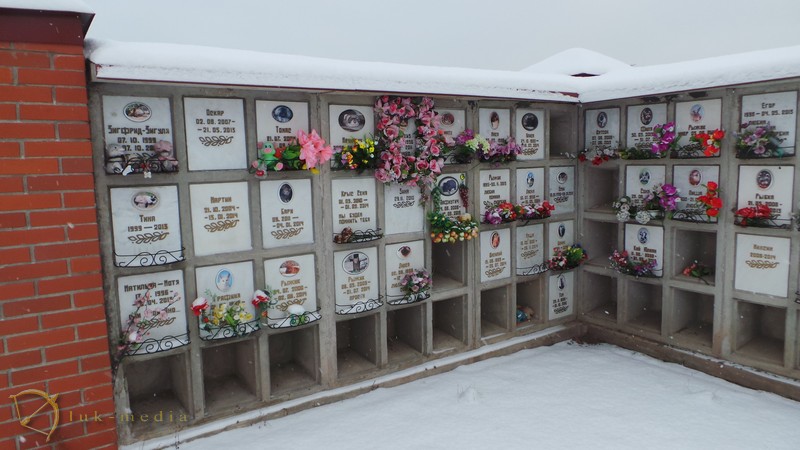кладбище животных в санкт петербурге