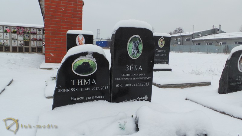 кладбище животных в санкт петербурге