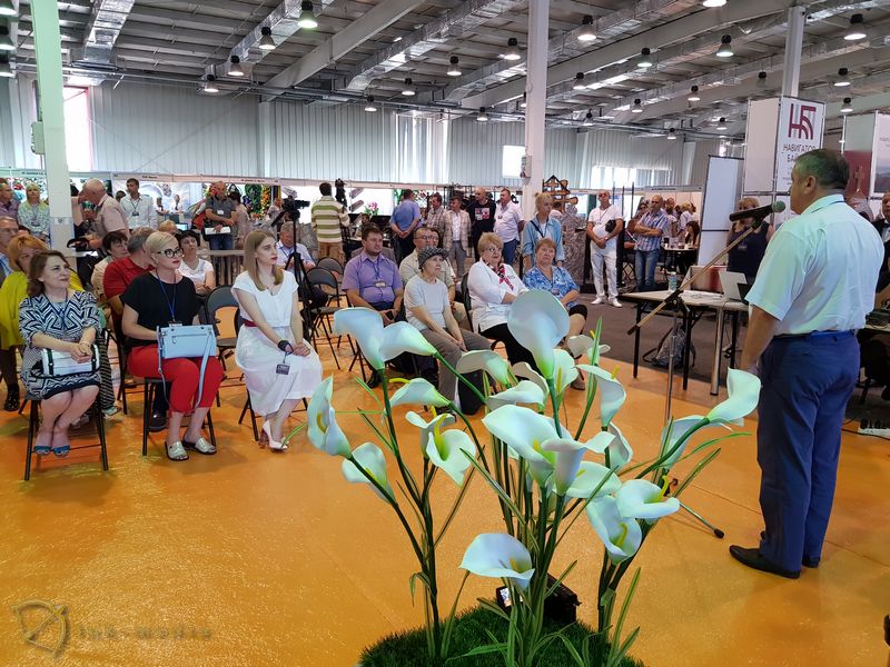 Открытие выставки Некрополь-Байкал 2018