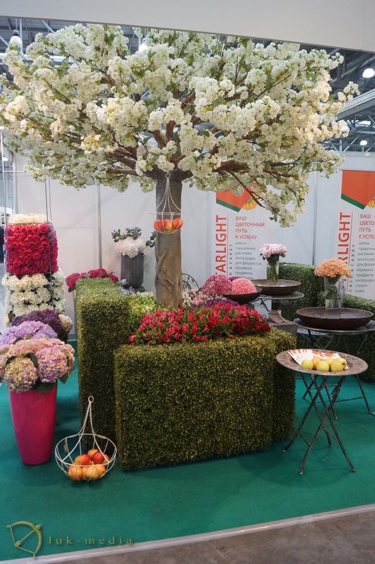  Flowers Expo