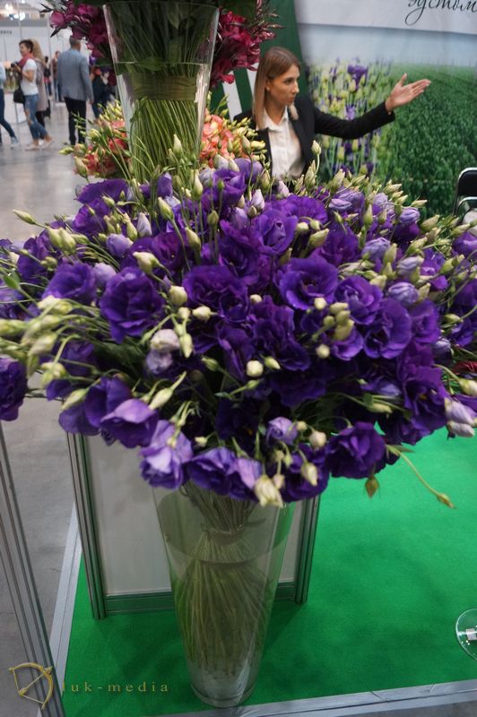  Flowers Expo