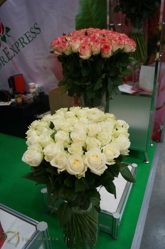  Flowers Expo