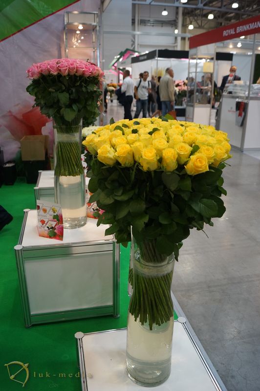  Flowers Expo