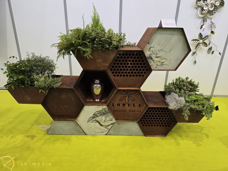 �������� Funexpo2024
