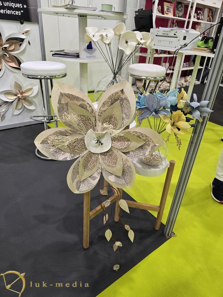 �������� Funexpo2024