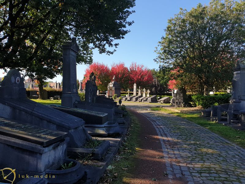 Кладбище Моленбек