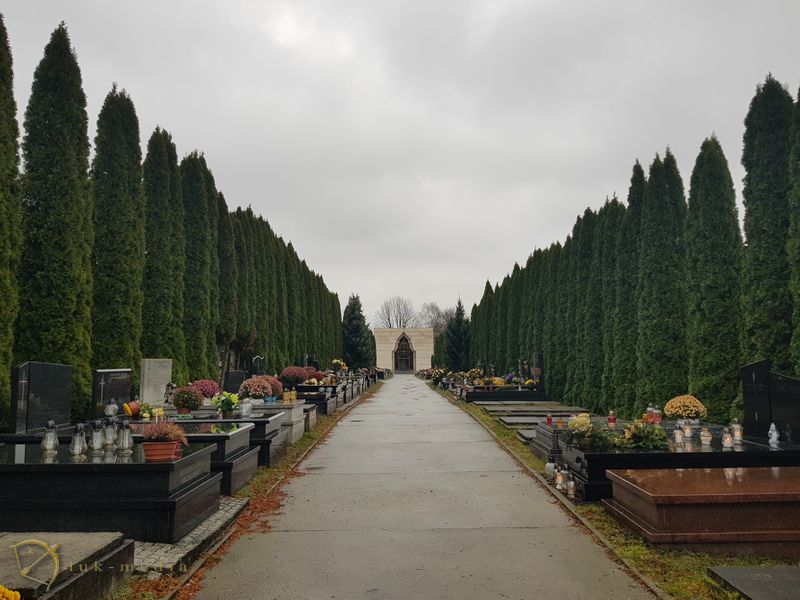 Сальваторское кладбище