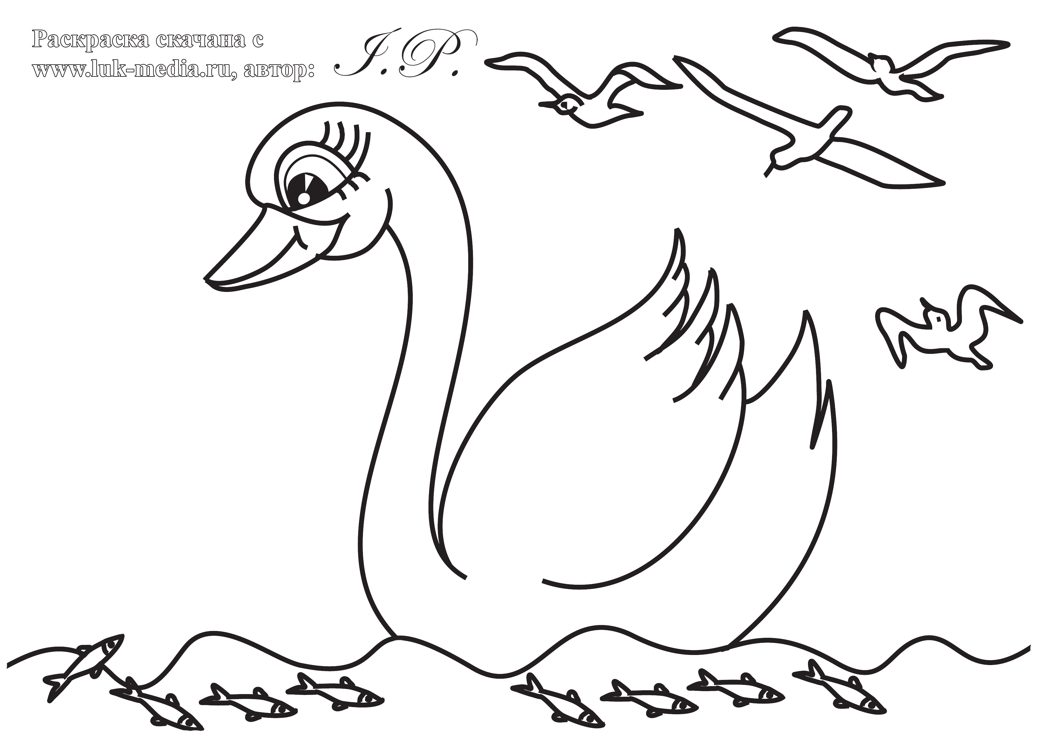 Раскраска Лебедушка на озере распечатать - Лебеди