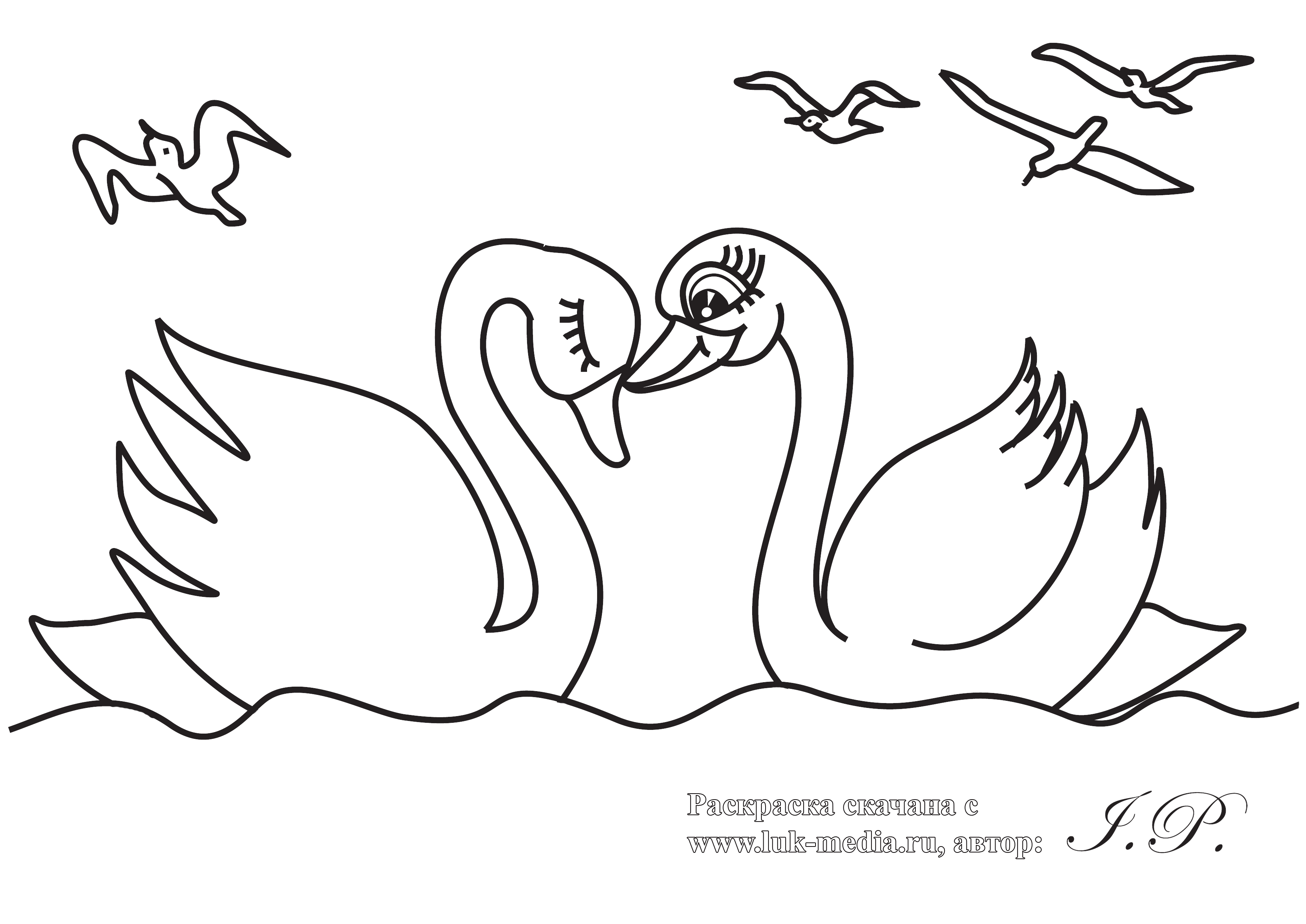 Раскраска белые лебеди – Развивающие иллюстрации