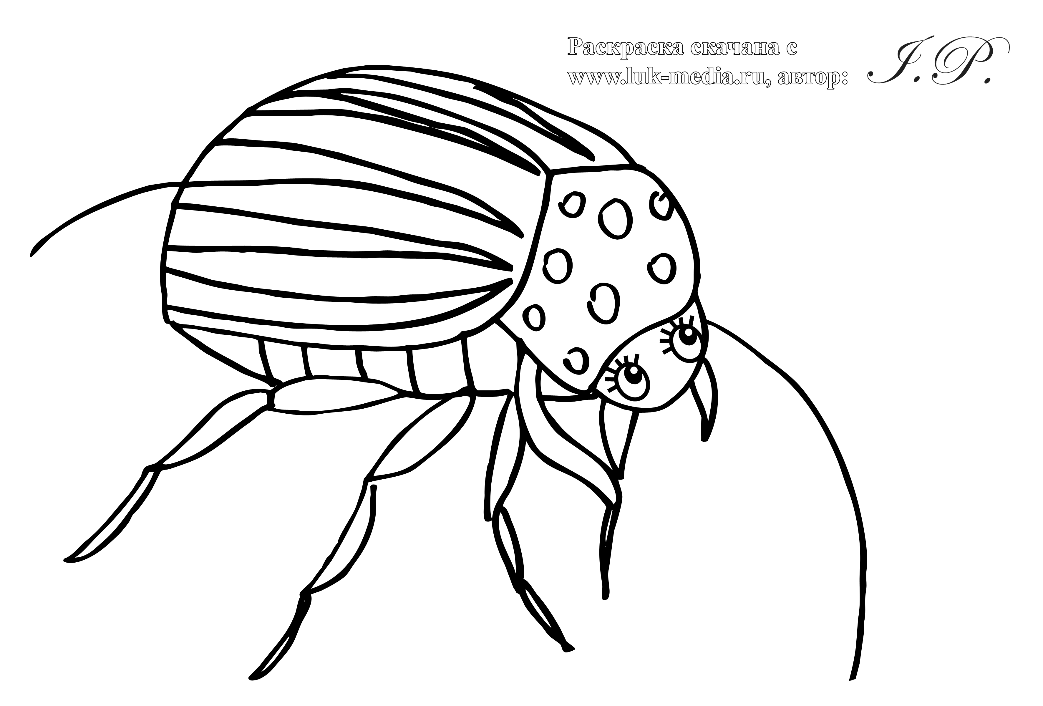Раскраска жук скарабей
