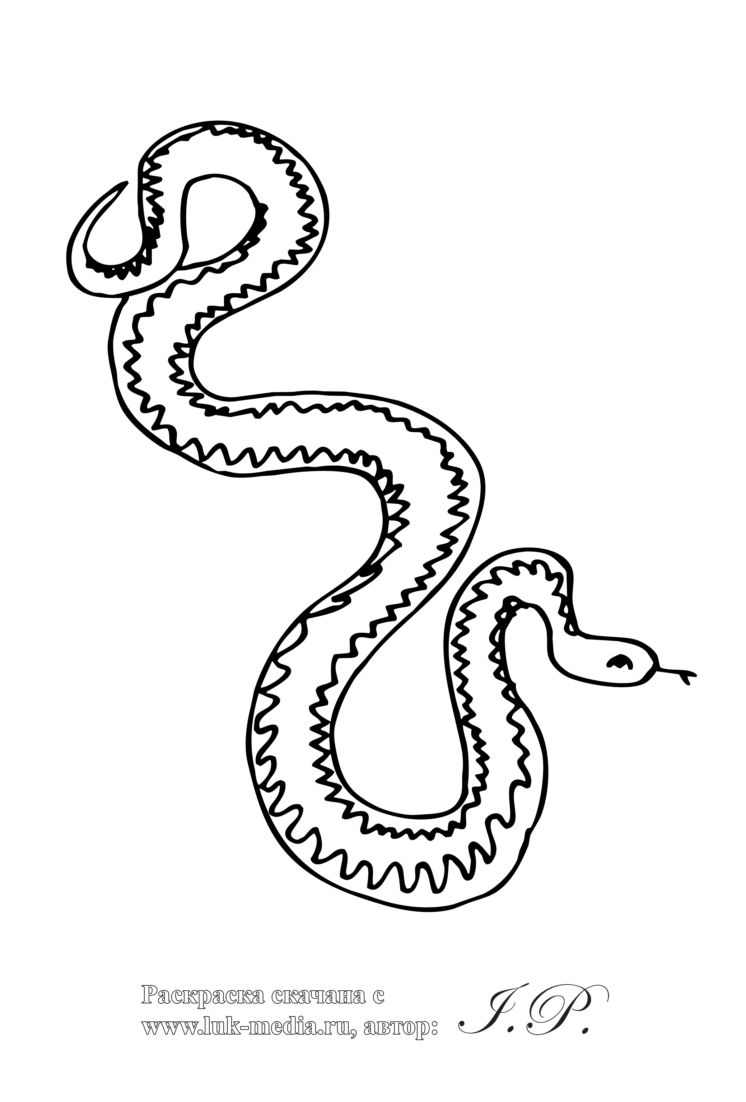 раскраска змея кобра