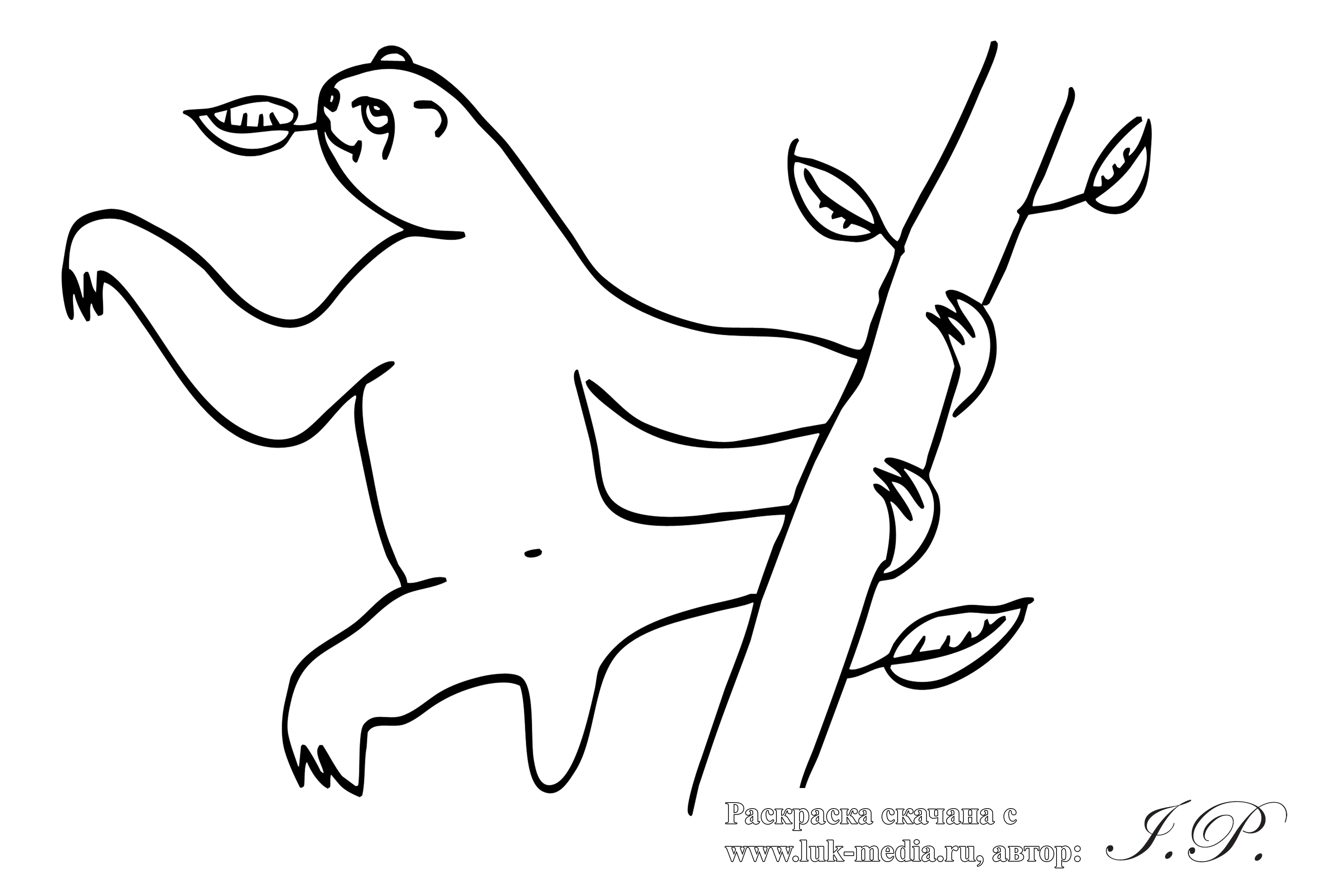 Раскраска Ленивец для малышей