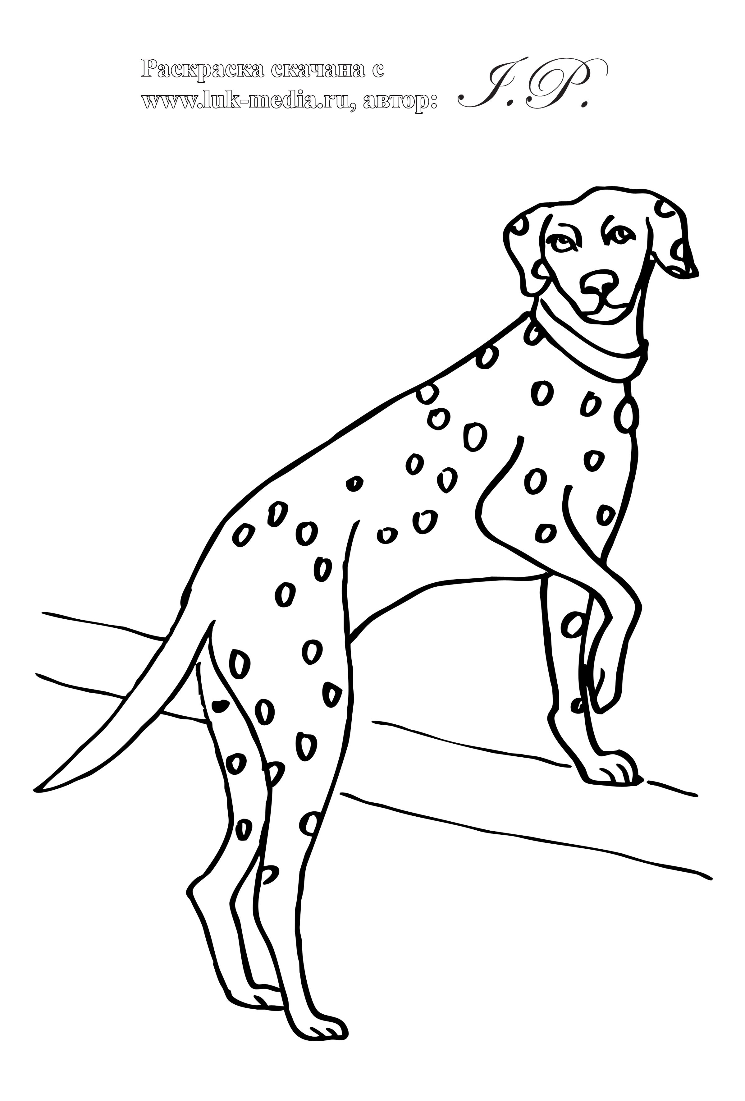 Раскраска Породы собак