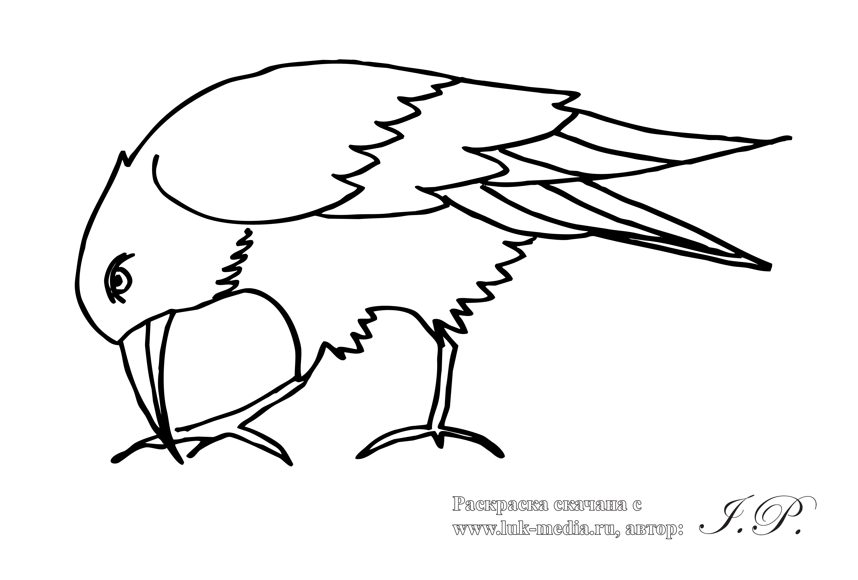 Раскраска Перелетные Птицы