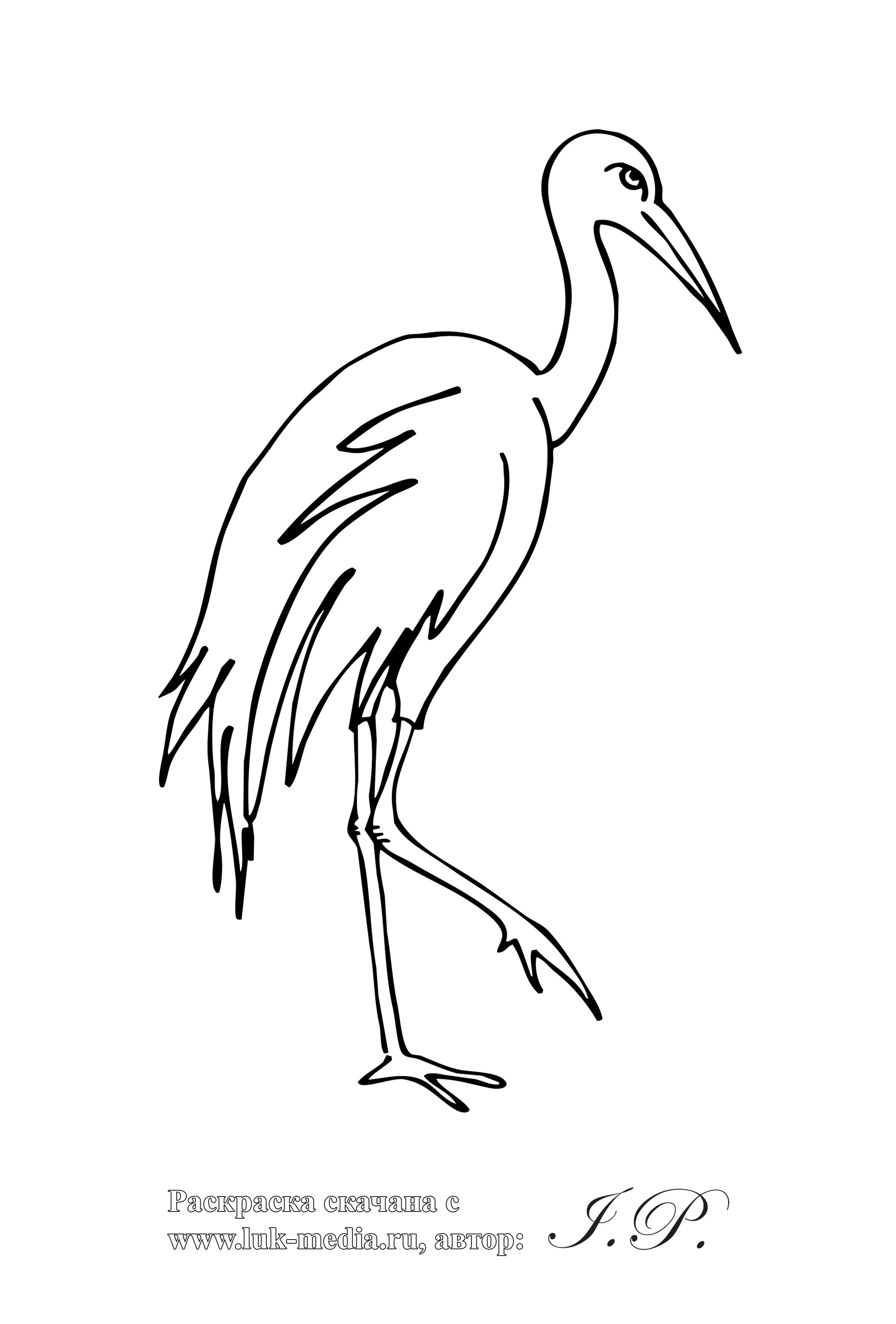 Птица раскраска