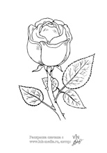 Онлайн раскраска: роза